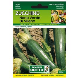 Sementi-Dotto-ZUCCHINO-NANO-VERDE-DI-MILANO