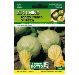 Sementi-Dotto-ZUCCHINO-TONDO-CHIARO-DI-NIZZA