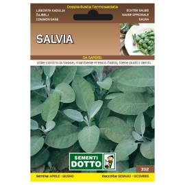 Sementi-Dotto_salvia