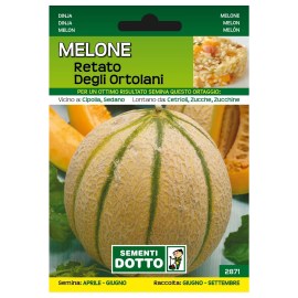 Sementi-dotto-MELONE-RETATO-DEGLI-ORTOLANI