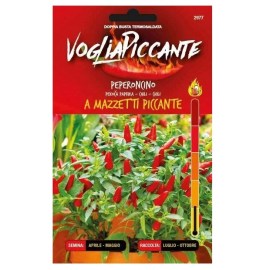 Sementi-dotto-PEPERONCINO-A-MAZZETTI-PICCANTE