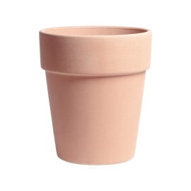 VASO-ARENA-ALTO2