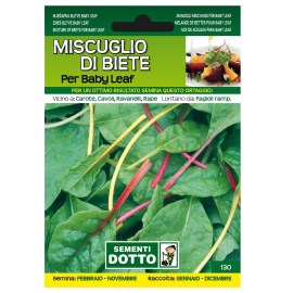 bietola_baby_leaf