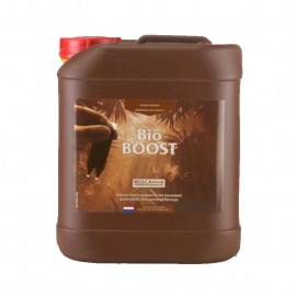 BIOCANNA 1000cc Fertilizzante Per La Fioritura - Flower 1 Litro Per Piante E Giardinaggio