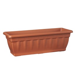 cassiopea-terracotta1