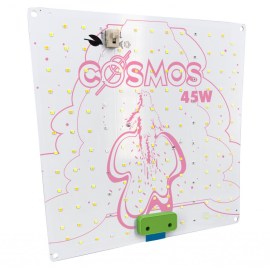 cosmos-45wgtown