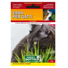 dotto_Erba_per_gatti