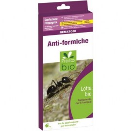formiche