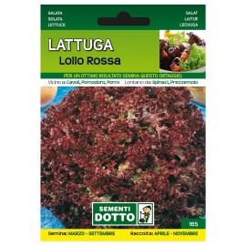 lattuga-lollo-rossa