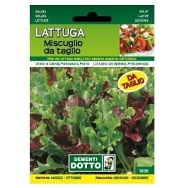 lattuga_mista_da_taglio2