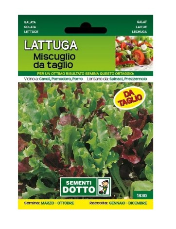 lattuga_mista_da_taglio