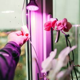 led-grow-bulb-led-planty-b-e27-7w-e27-1200k-black