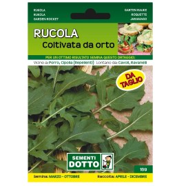 rucola_orto