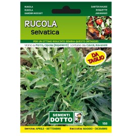 rucola_selvatica