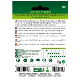 rucola_selvatica_back