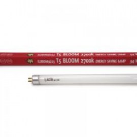 t-5-54w-bloom-3000k-24-731