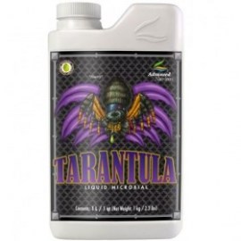tarantula_greentown