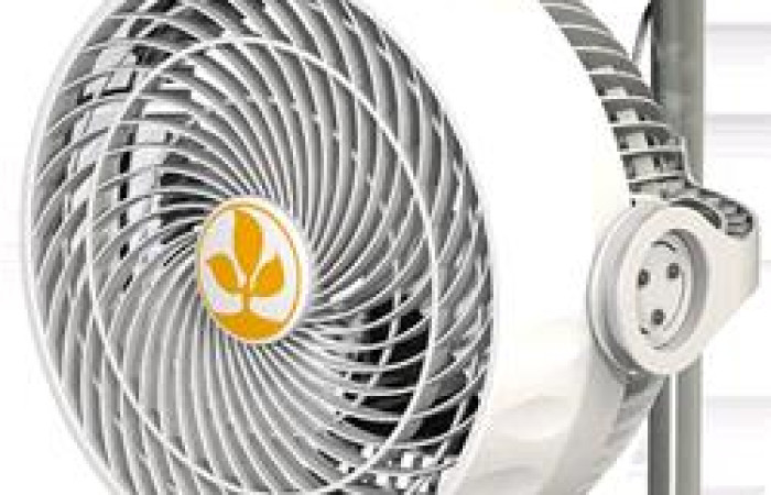 Secret Jardin - MONKEY FAN 30W