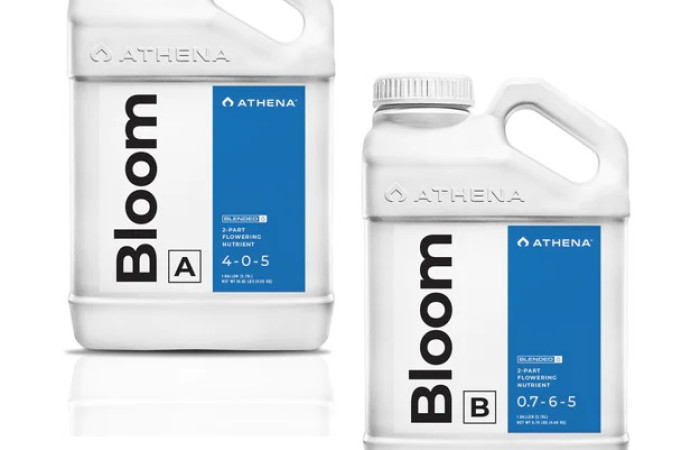 Athena - BLOOM A+B 500mL