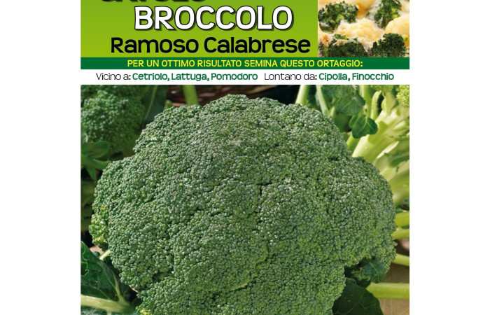 Sementi Dotto - CAVOLO BROCCOLO RAMOSO CALABRESE