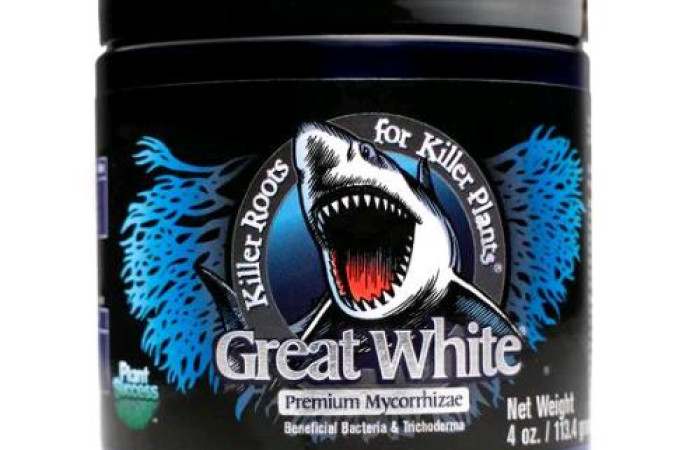 Plant Success - GREAT WHITE polvere bagnabile 113g 
