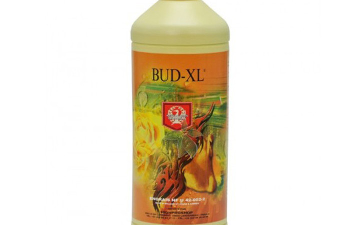 House & Garden - BUD XL 250mL