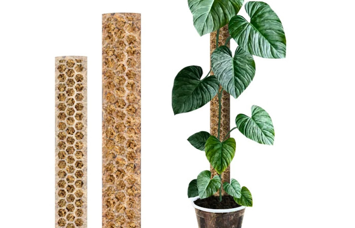 Plant Scraper - TUTORE MUSCHIATO CRYSTAL CLEAR XL