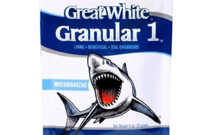 Plant Success - GREAT WHITE GRANULAR 1 - 113g