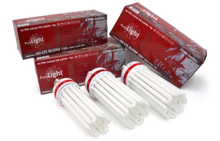 Pure Light - CFL BLOOM 150W