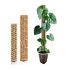 Plant Scraper - TUTORE MUSCHIATO CRYSTAL CLEAR XL