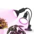 KOBI - LED PLANTY CLIP DUO + 2x LED PLANTY 7W BLACK