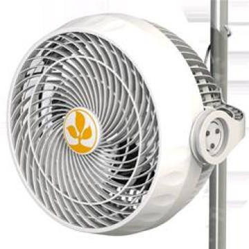 Secret Jardin - MONKEY FAN 30W