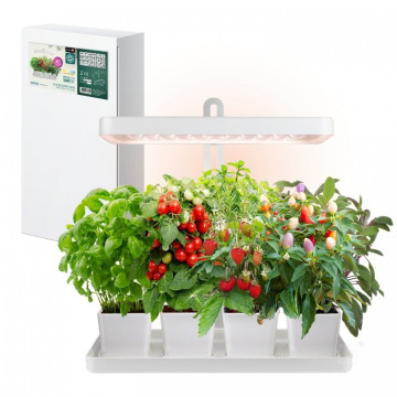 KOBI - LED BLOOM 20W 3500K